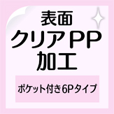 6P-cpp