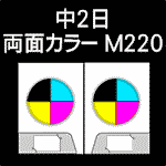 B-M220-n2-3