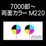 6P-7000-M220-n10-3