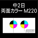 6P-M220-n2-3