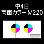 6P-M220-n4-3